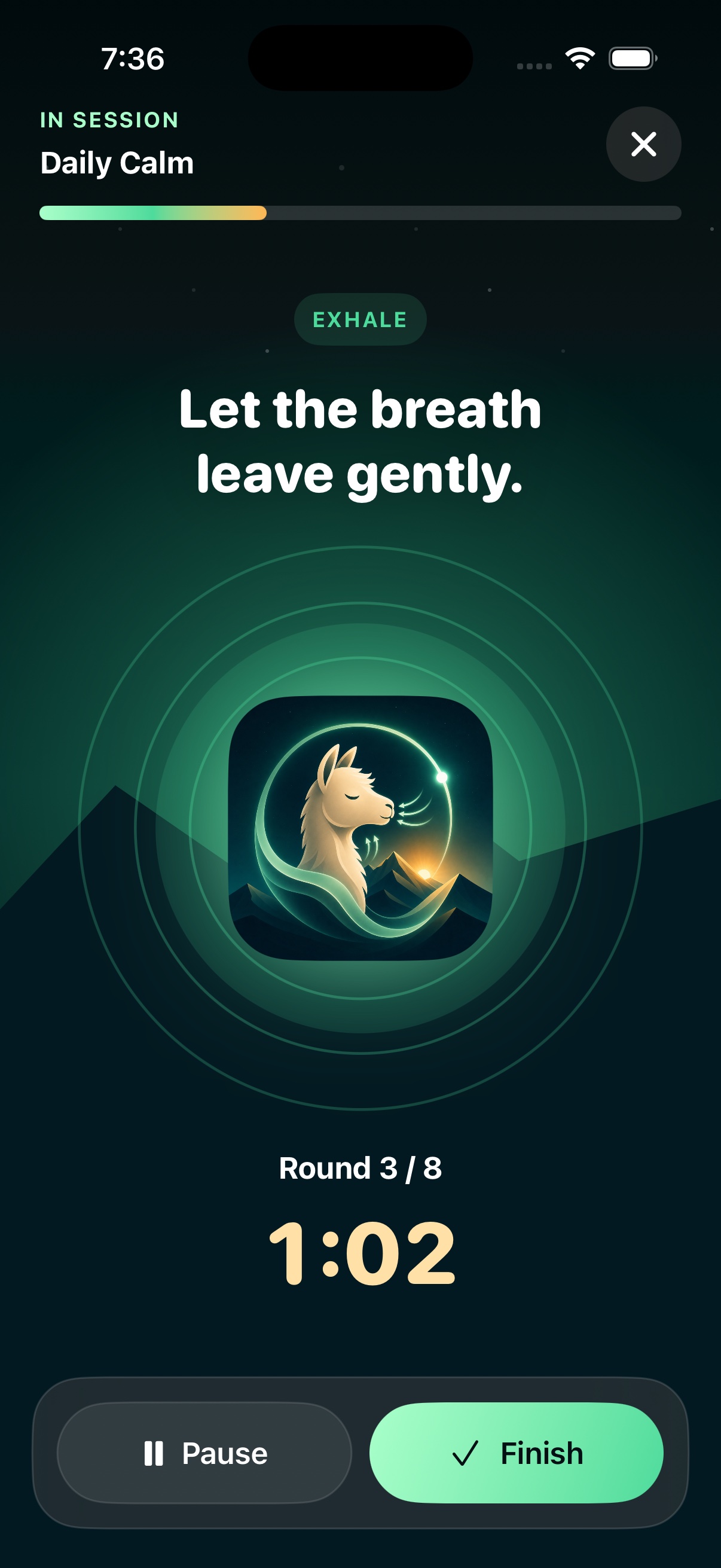 Breathllama active breathing session screen